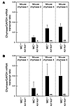 GAPDH-normalized chymase 1, chymase 2, chymase 4, and chymase 5 mRNA levels