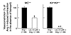 Reactivity of untreated (black bars) or lisinopril-treated (Lis; 10 μM; whi