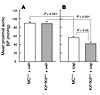 Proximal aortic blood pressure (BP) in anesthetized MC+/+ and Kitw/Kitw-v m