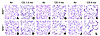 Increased susceptibility of Nrf2–/– mice to CS-induced emphysema. Shown are