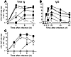 Virus dose response and CD4+ T cell dependence of the rLCMV/INDG_induced nA