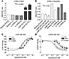 β-ARs in heart and myocytes.