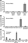 Purified anti-DNA–containing ICs in SLE serum induce cellular activation. (