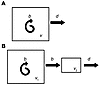 Models for analysis of cellular 2H enrichment. (A) Single-compartment model