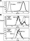 KSHV lytic replication decreases CD1d levels. (A) The levels of CD1d on uni