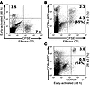 Effector CD8+ T cells but not early-activated CD8+ T cells transmigrate to