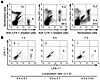 Regulation of the retention time within the lungs but not transmigration in