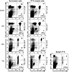 Migration of effector CD8+ T cells into the lung interstitium is PTX-sensit