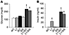 Metabolic data in 2-month-old mice.