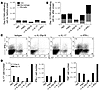 Anti–IL-23p19 mAbs inhibit CNS infiltration of IL-17–, I