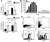 T-bet and TIM3 expression in IFN-γ– and IL-17–producing T cells.