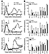 Anti–IL-23 therapy during disease remission inhibits CNS expression of proi