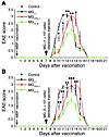 Effect of MG on the clinical course of EAE depends on their number and acti