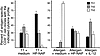 Conditioning with HP-NAP promotes the Th1 polarization of antigen-specific