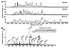 Mass spectrometry analysis of GM-CSF–induced p47phox