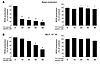 The cell-permeable peptide TAT-Ser345 inhibits the basal and primed ROS pro