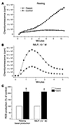 Priming of NADPH oxidase activity in neutrophils isolated from synovial flu