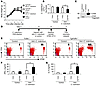 Induction of immune response toC. rodentium