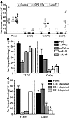 CD4+ T cell–dependent, col(V)-specific cell-mediated immunity in lung trans