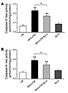 Myocardial caspase-3 and -9 activation.