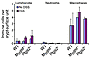 There was no statistically significant inflammatory infiltrate in the rectu