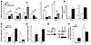 Increased expression of markers of alternatively activated (M2) macrophages