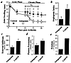 Chronic arthritis is ameliorated by an αvβ3 antagonist. (a) Administration