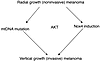 Schematic of the 2 mechanisms by which Akt may transform cells.