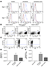 LAG-3 blockade enhances the accumulation of HA-specific CD8+ cells in a mod