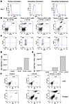 LAG-3 blockade enhances the accumulation of clone 4 CD8+ effectors within H