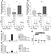 Self- and tumor-tolerized endogenous CTLs regain effector function in vivo