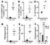 TBI activates the innate immune system and promotes translocation of microo