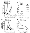 Administration of ultrapure LPS after TBI significantly enhances antitumor