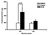 Effects of BLM treatment on lung HYP content.