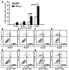 Effects of BLM on fibroblast apoptosis.