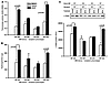 Effects of BM transplantation on lung telomerase and fibrosis.