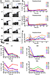 In vivo CD4+ T cell depletion in SIV-infected SMs.