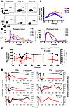 The level of activated/proliferating CD4+ T cells increases after CD4+ T ce