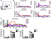 Longitudinal analysis of the levels of Tregs, activated CD8+ T cells, and S