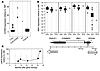 Expression of proto-oncogenes.