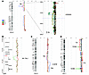 Genome-wide copy number analysis by array-CGH.