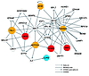 Pathways involved in the 4 adverse events.