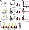 Inhibition of phosphotyrosine by imatinib in CML stem and progenitor cells.