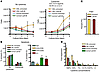 Proliferation and survival of CML progenitor cells in short-term imatinib c