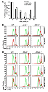 The crosstalk between iNKT and MDSCs is CD1d and CD40 dependent.