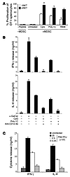 Infection of MDSCs with PR8 fosters their ability to activate iNKT cells.