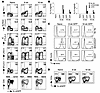 Th2 hyporesponsiveness does not rely on the ligation of inhibitory receptor