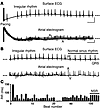 Ryr2R176Q/+ knockin mice are vulnerable to pacing-induced AF.