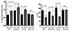 Sirt3-Tg mice subjected to agonist-mediated cardiac hypertrophy show preser