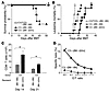 Absence of alloantigen expression on host non-hematopoietic cells restores